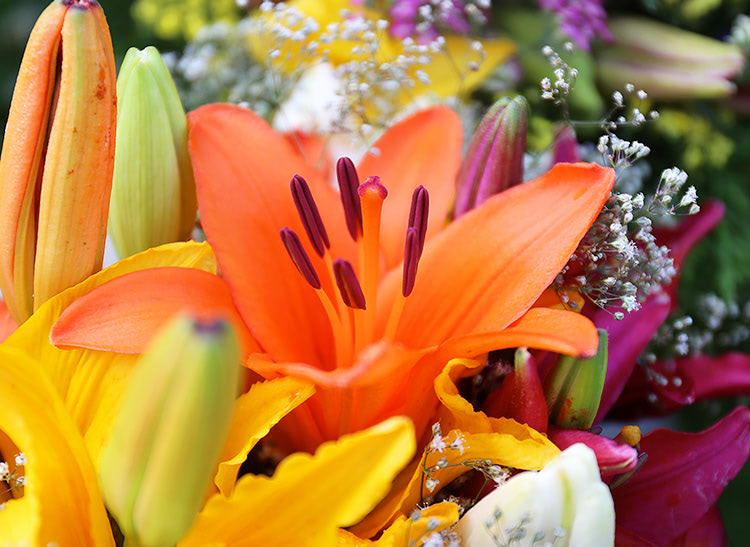 Bright orange lily with dark stamens blooming amidst a colorful bouquet of yellow, pink, and white flowers and green buds, surrounded by small white baby's breath flowers.